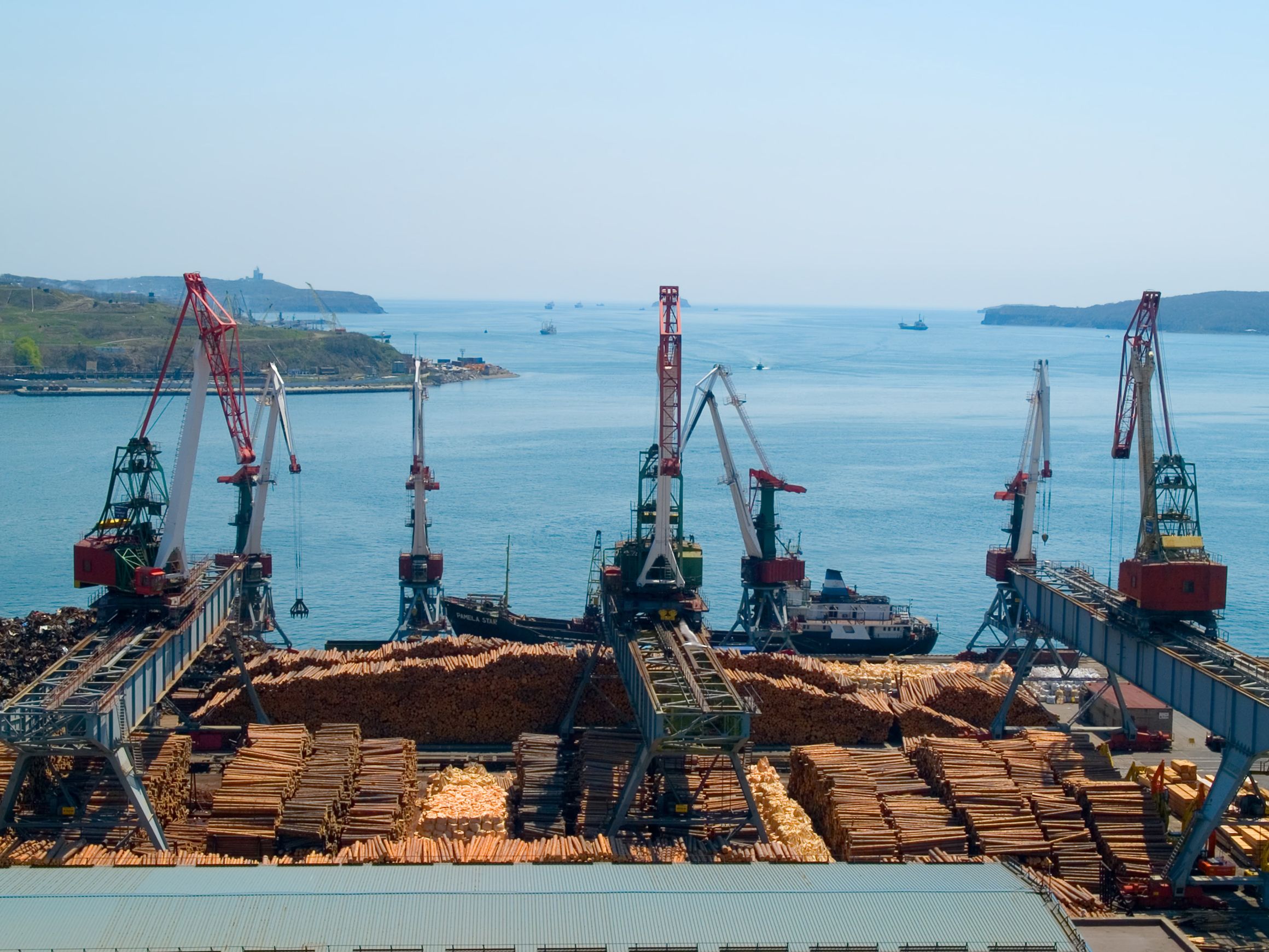 Almost 60% of NZ forestry exports are China-bound, compared to about 40% of dairy exports, 40% of meat exports, and 20% of horticulture exports. (Photo Credit: 5043307)