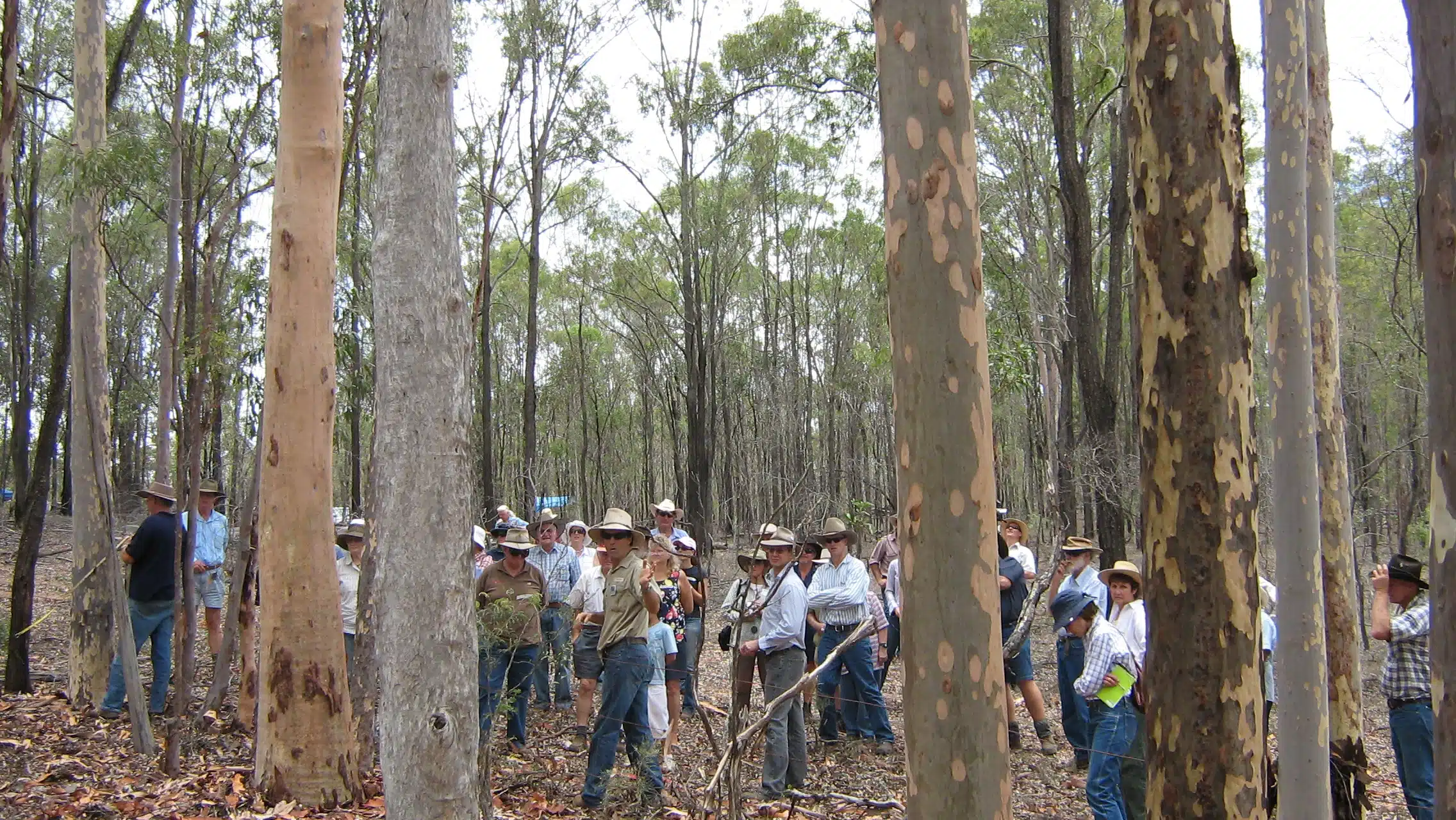 Private forestry groups have promoted the growth of plantations through field days, workshops and demonstration sites (Photo Credit: Jim Bowden)