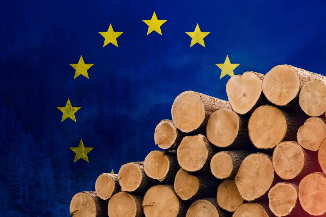 The European Union's new deforestation regulation (the EUDR) has seen a surge in cheap, uncertified hardwood timbers entering the United Kingdom supply chain, according to one of the country's leading distributors of timber, panels, and decorative surfaces. (Image Credit: Getty Images)