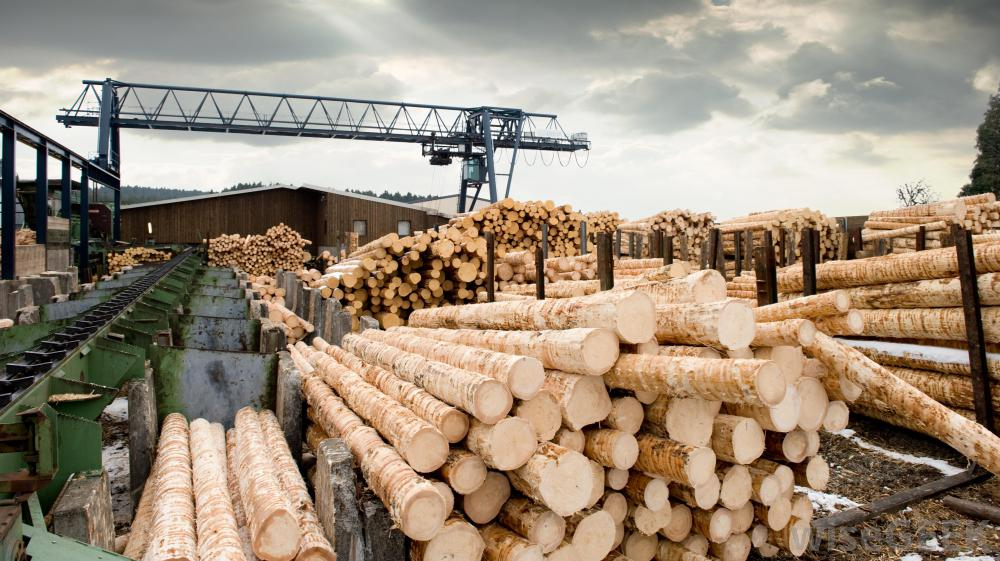 Andy McNaught… uptake of the solid wood certification scheme has been excellent with seven of the 11 major mill sites in Australia now using it. (Photo Credit: Quantum Automation)