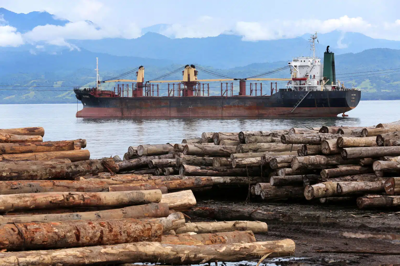 The Australian Government is improving timber traceability, enforcement and streamlining processes as it doubles down on sustainable, legal and certified supply chains of timber products. Here, tree trunks wait for loading on to the vessel WU FENG (Panama) in the logport of Logpont Timbers Rimbunan Hijau (PNG) Limitid in Garim, Madang, Papua Neuguinea. (Photo Credit: Friedrich Stark / Alamy Stock Photo)
