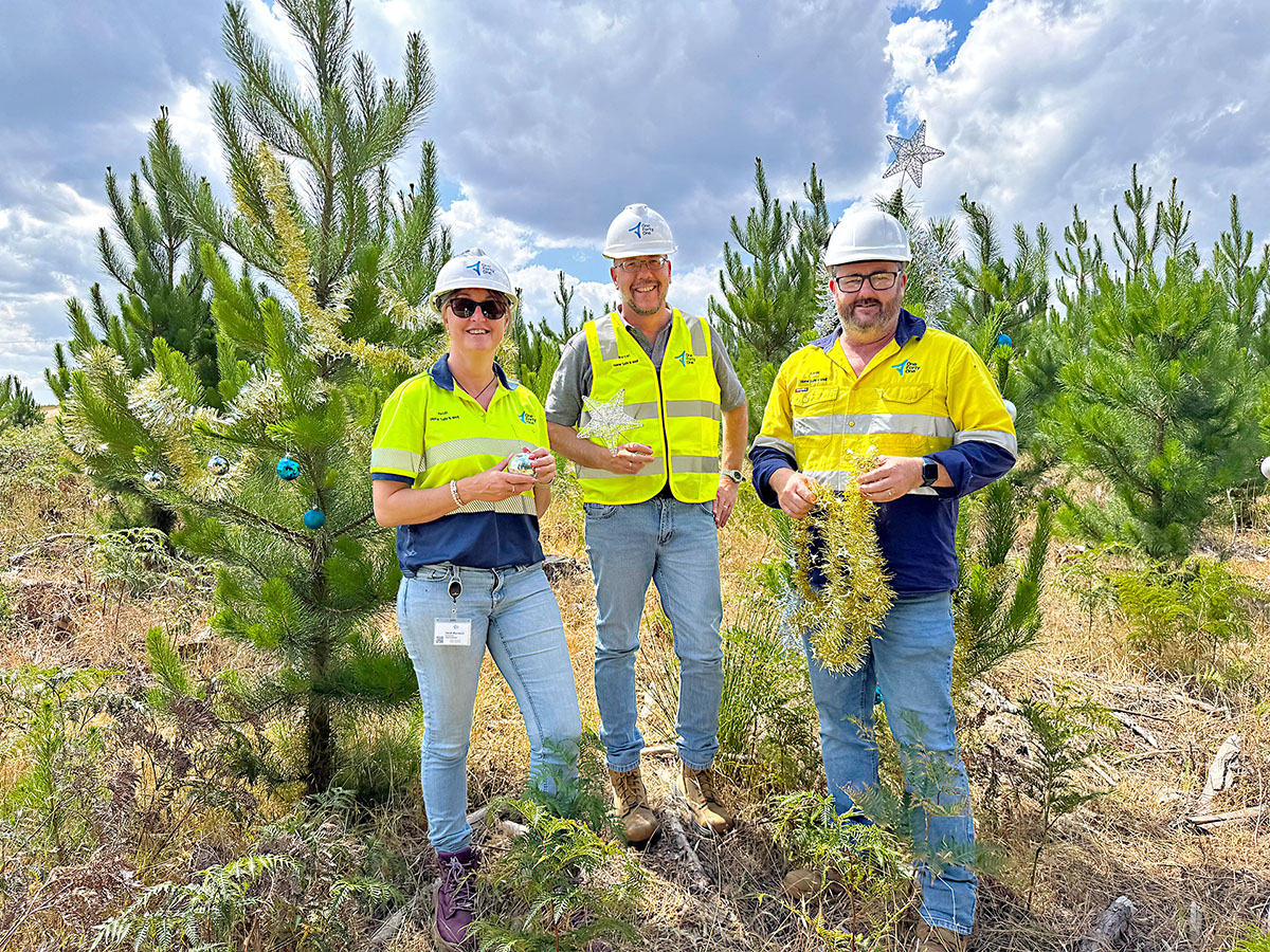 Silviculture forester Heidi Maresch, estate manager Marcel Griffiths and Improvement forester Gavin Blacker spread festive joy to communities through this year’s OneFortyOne Christmas tree giveaway. (Photo credit: OneFortyOne)