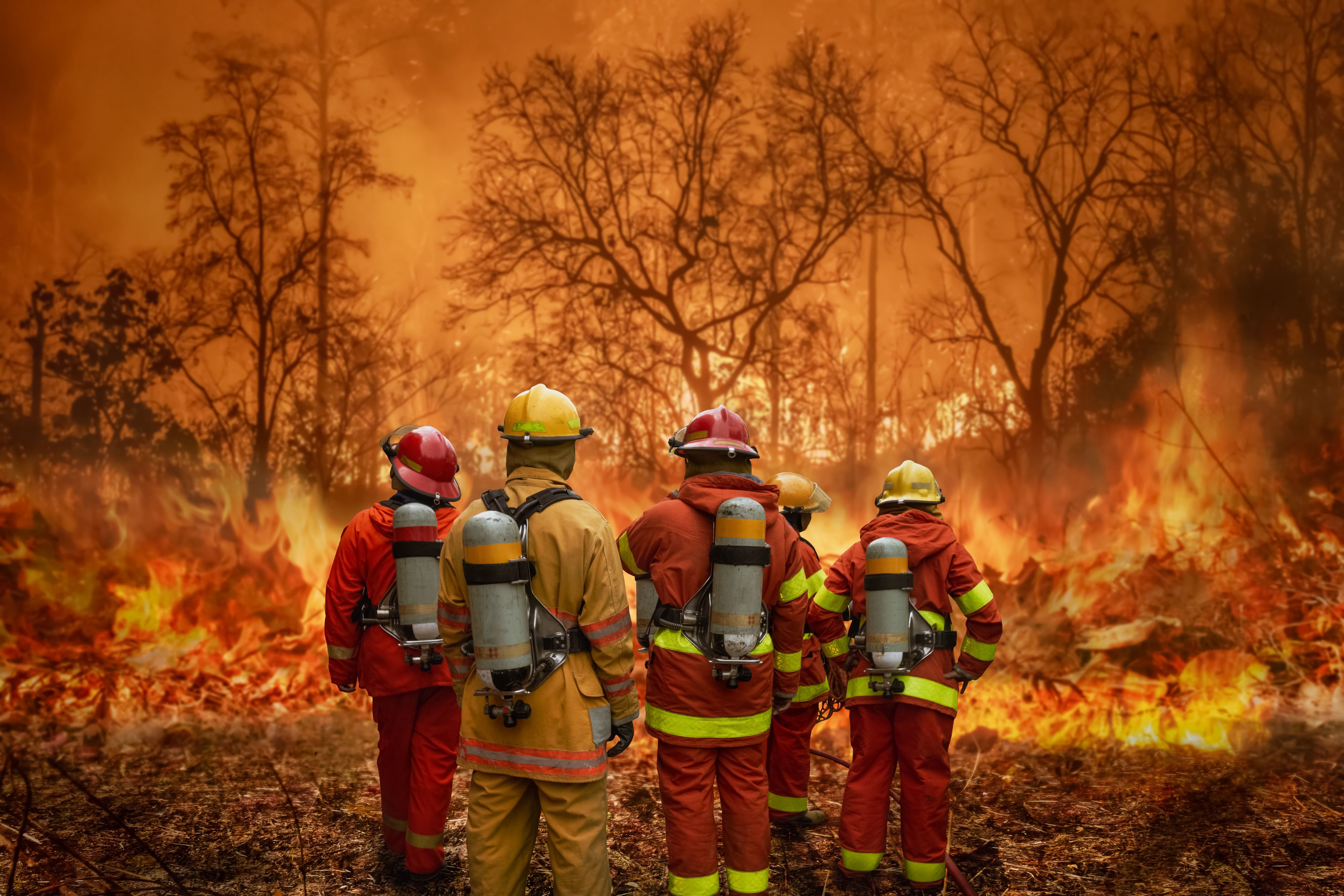 A new study alleges that the push away from controlled burning has been attributed to the surge in mega-fires that now place Australian forests and fauna at severe risk. (Photo Credit: toa5 (Akhararat Wathanasing), 531934366 from Deposit Photos)