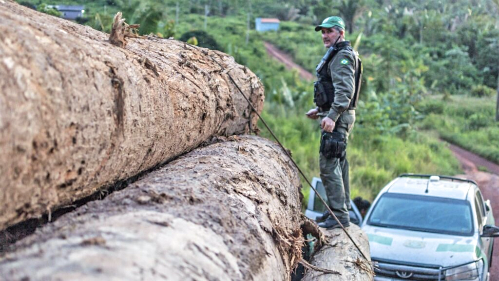 Environmental agents are analysing satellite imagery and conducting on-site inspections to identify the flow of illegal timber. (Photo Credit: Image by IBAMA via Wikimedia Commons (CC BY-SA 2.0).