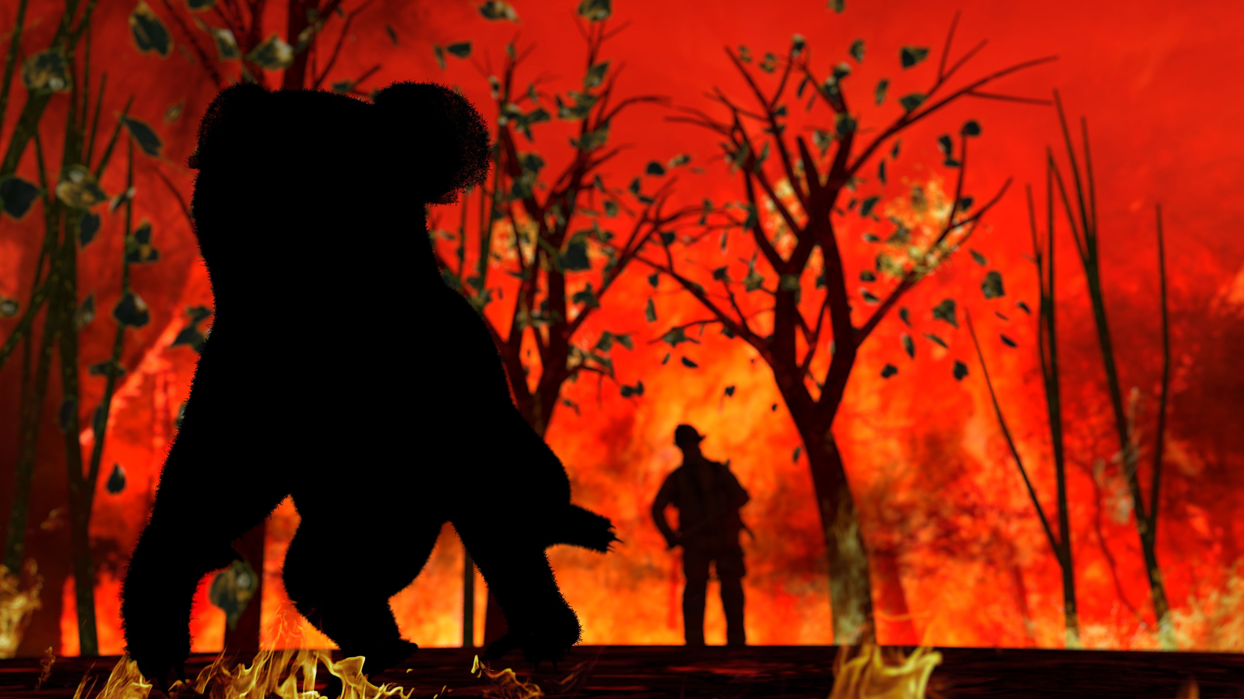 Mega fires, not timber harvesting is a clear threat to the future of Koala according to Dr John Raison, the former chief research scientist at the CSIRO. (Photo Credit: FILE #: 317140027)