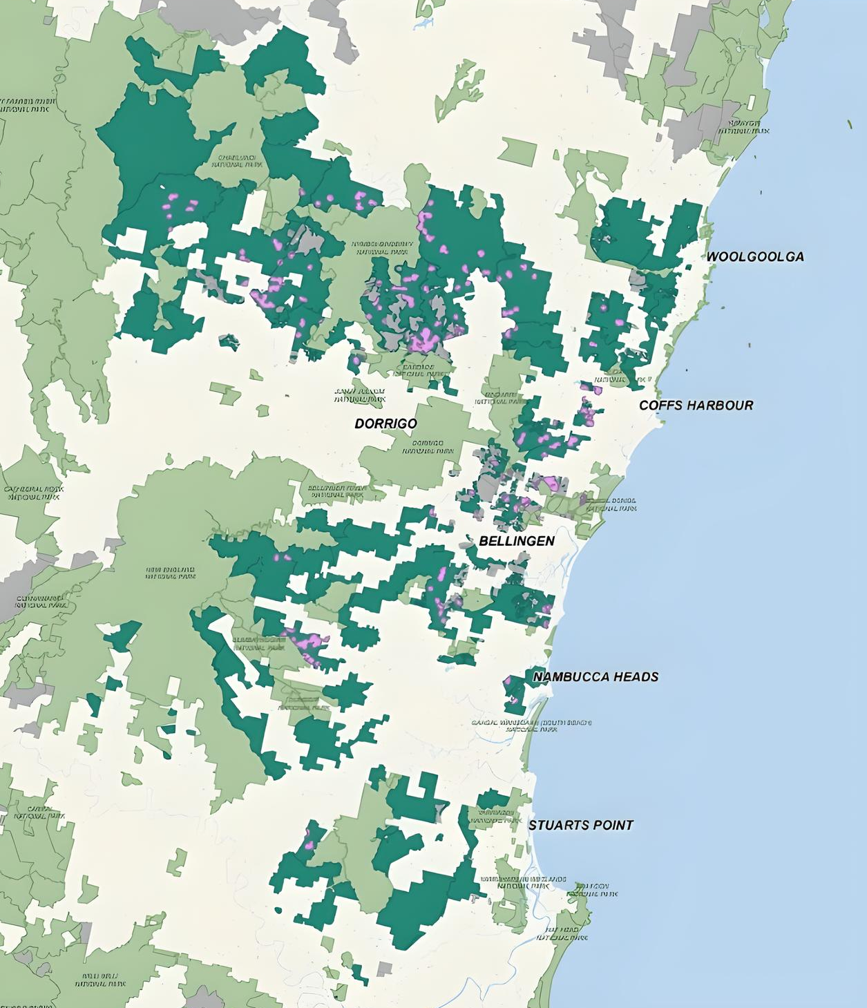 The new report comes just days before the NSW government decide on the exact location of the Great Koala National Park. (Photo Credit: NSW Government)