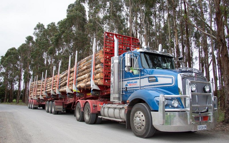 Latest figures show about 86.6% of domestic freight for the forest and forest products industry in Australia is hauled by road. (Photo credit: Kenworth Australia)