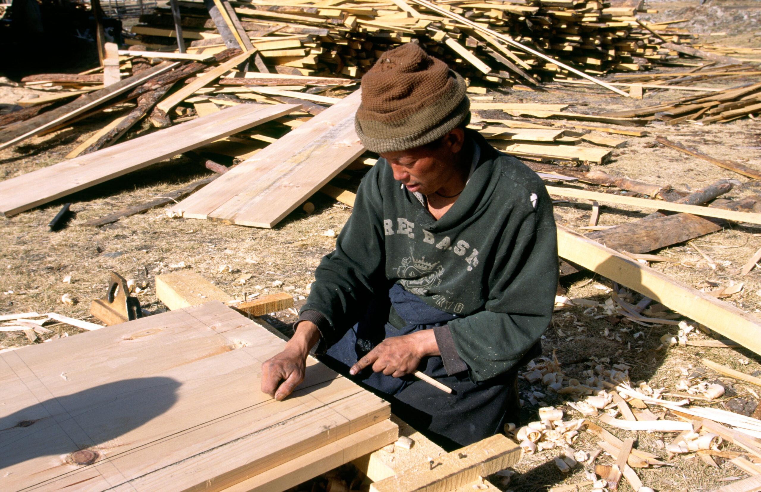 Bhutan is looking to harvest more than 10 million cubic feet of timber every year. (Photo Credit: Neil McAllister / Alamy Stock Photo)