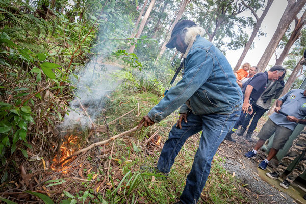 Two NSW local Aboriginal Land Councils have joined forces with Forestry Corporation to integrate cultural burning knowledge with government bushfire management. (Photo Credit: Forestry Corporation)