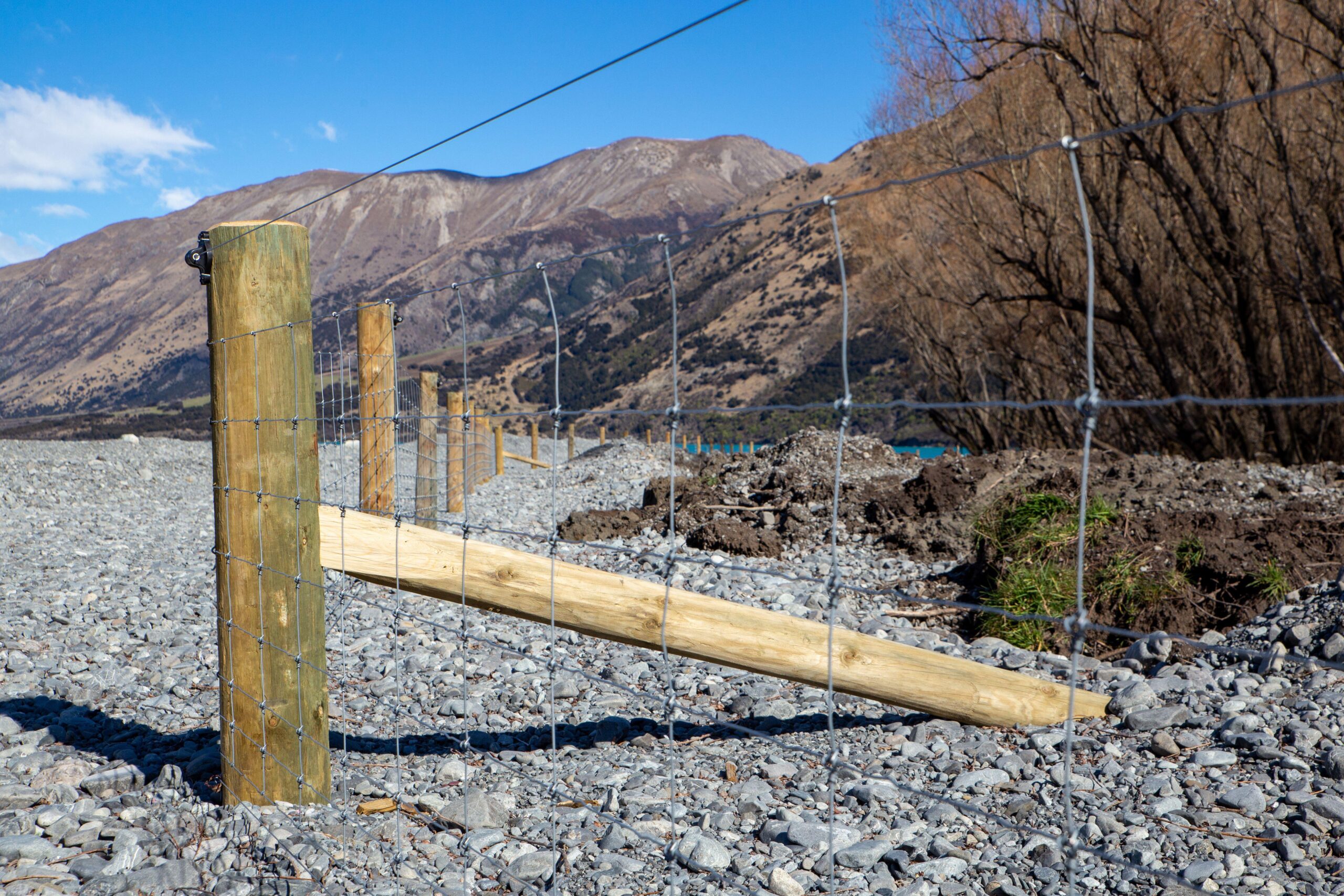 A study has found that huge volumes of fence posts and stakes - like those used here in Christchurch, New Zealand - could be extended by decades thanks to Postsaver's dual-layer ground-line barrier sleeves, now sold in 30 countries. (Photo Credit: Sheryl Watson / Alamy Stock Photo)