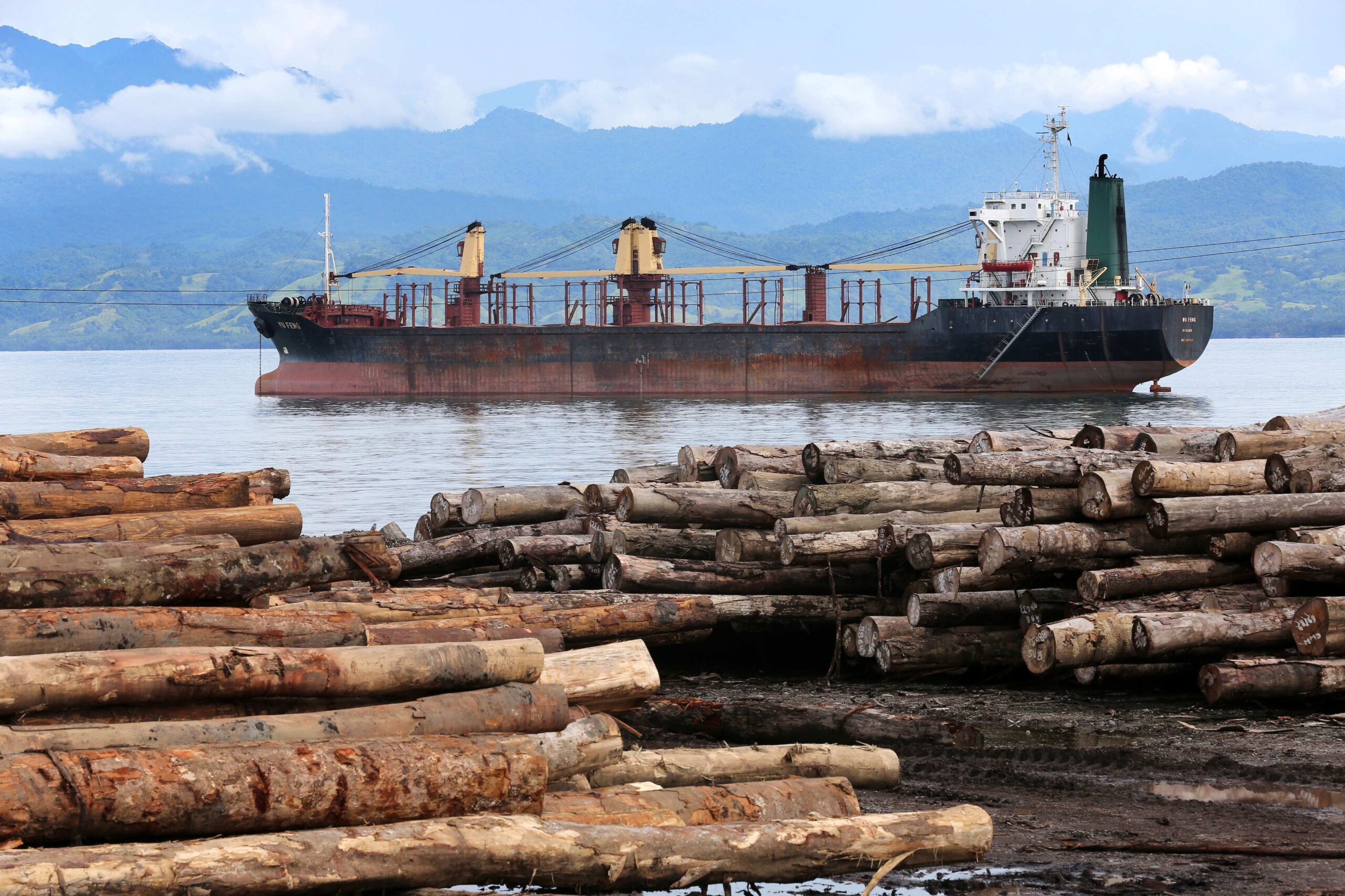 Trade liberalisation is critical to the economic and environmental progress of the global wood and paper industry. Photo Credit: Friedrich Stark / Alamy Stock Photo)