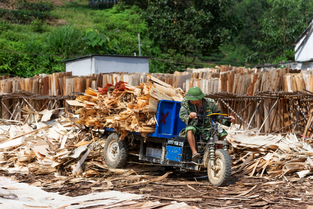 Vietnam is one of the world's hubs for veneer - with a large quantity of veneer going into the production of wooden furniture (Photo Credit: 1459719695 via Shutterstock Images)