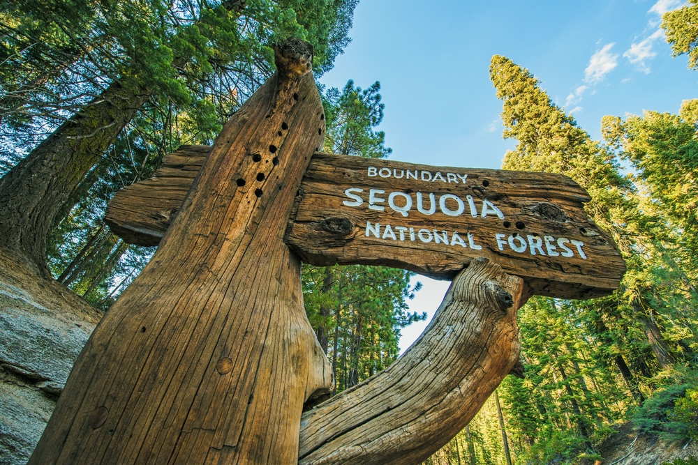 More than 20 million acres of Californian forestland is tied up in Donald Trump's executive order to 